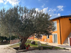 Agriturismo Collamato San Severino Marche